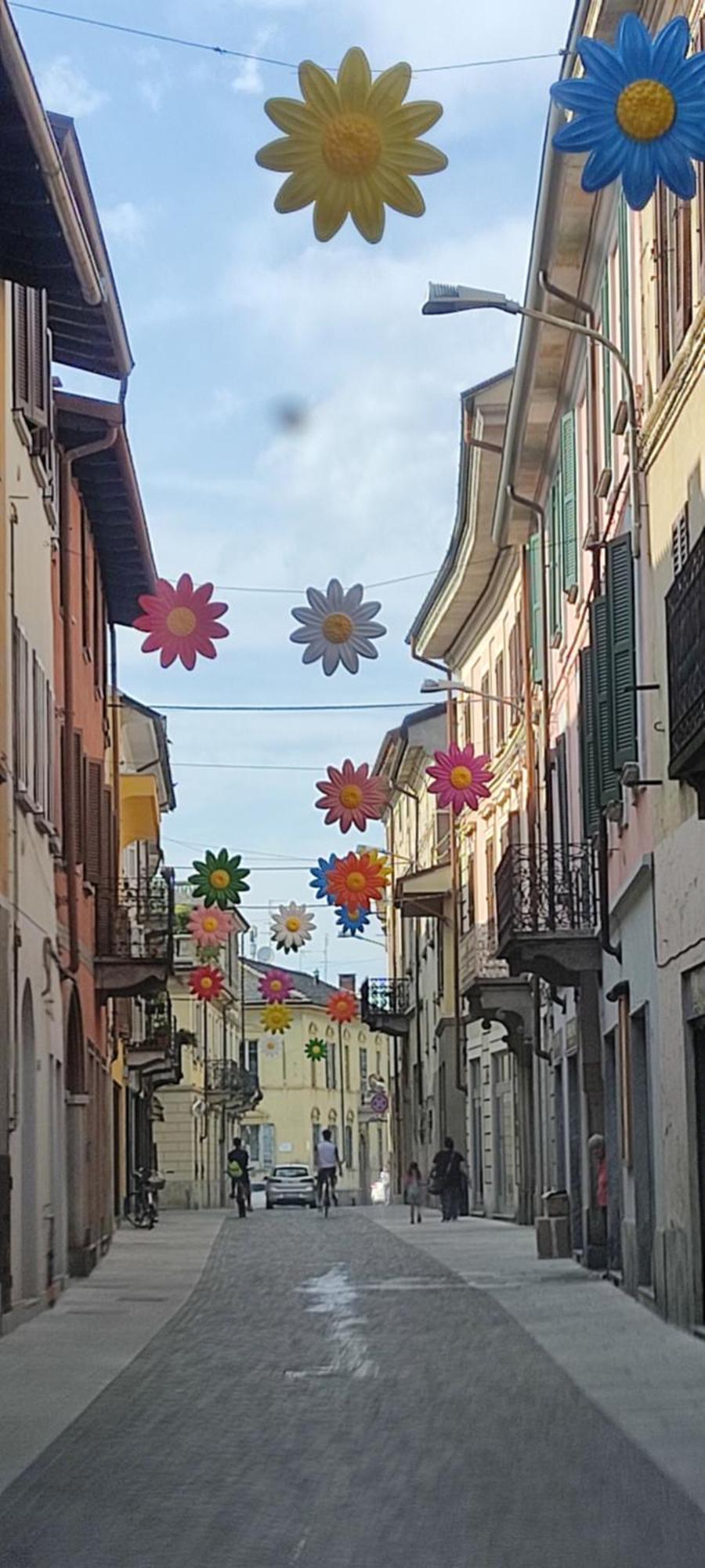 Appartamento La Casa Di Rosy Oleggio Esterno foto